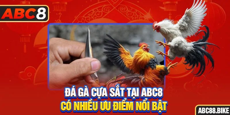 Đá gà cựa sắt tại ABC8 có nhiều ưu điểm nổi bật