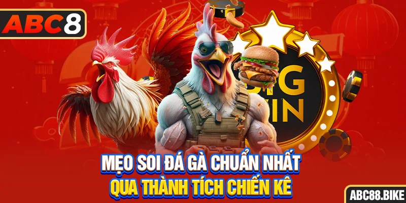 Mẹo soi đá gà chuẩn nhất qua thành tích chiến kê