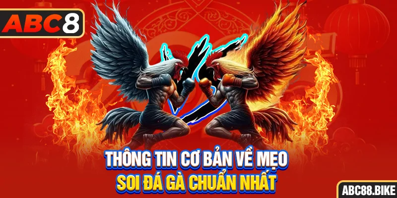 Thông tin cơ bản về mẹo soi đá gà chuẩn nhất