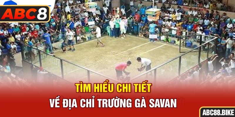 Tìm hiểu chi tiết về địa chỉ trường gà Savan