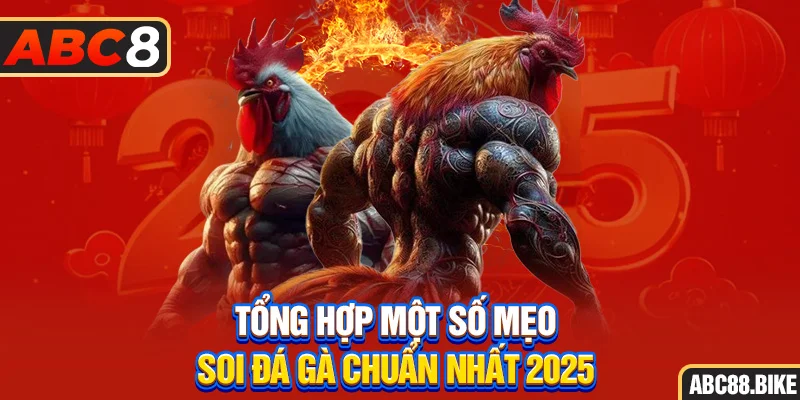 Tổng hợp một số mẹo soi đá gà chuẩn nhất 2025